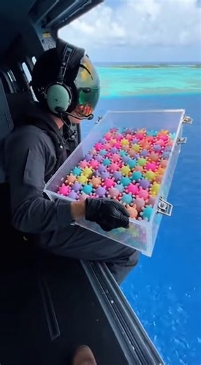 100,000 Labubu falling from the sky… would you stand under it? 🧸🤯 #Labubu #ToyRain #100KDrop #CrazyStunt #SatisfyingVisuals #ColorExplosion #OceanView #ViralReels #TrendingNow #FYP | Noah Waters
