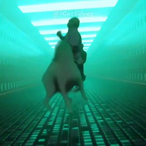 883K views · 54K reactions | 혾 홝 홞 홡 홡. on Reels | Facebook