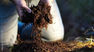 climate change effects soil, studying soil health and life, in national park forests and in agriculture in australia