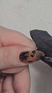 Tutorial: Tortoise Shell Nails #nailtutorial #gelnails #nailart #tortienails