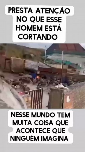 Fabio Capao on Reels