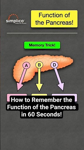 🔥 How to Remember the Function of the Pancreas [Endocrine System Hormones] #nursing