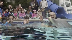 Company build animatronic dolphin for educating kids
