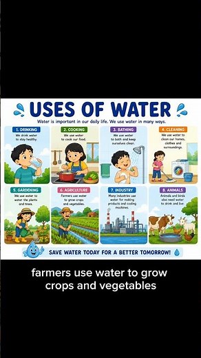 Uses of Water|Water: The Silent Hero of Everyday Life|uses of water