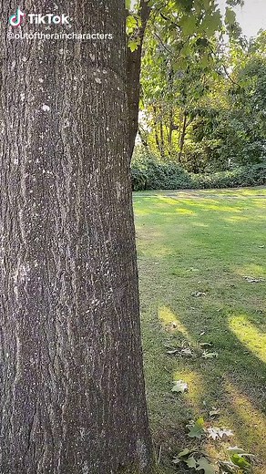 Get Back Up Again: Inspiring Music Video Insights