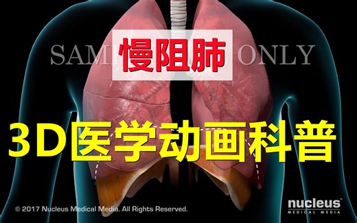 【3D医学动画科普】慢性阻塞性肺疾病（COPD）（中英双语字幕）