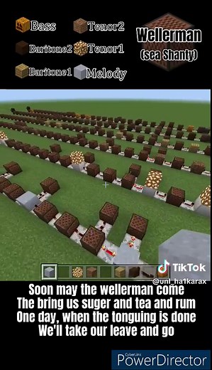 Wellerman (Sea Shanty) Note Block:音符ブロック/Minecraft #minecraft #wellerman #nathanevans