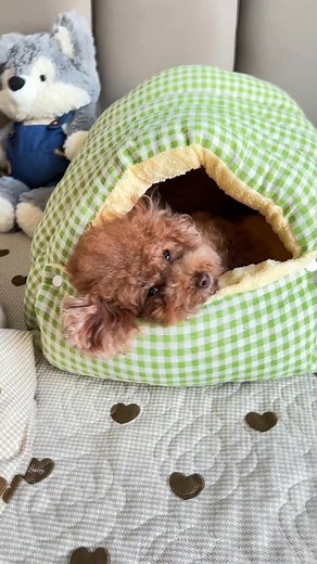 160K views · 4.4K reactions | Goon Store on Reels | Facebook