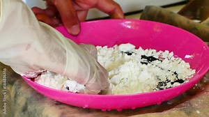 How to make colored powder, holi Festival. The hands are salting food coloring mixed with corn starch to make a flour colorAnd dried until the dry powder for colour will be the Festival holi.