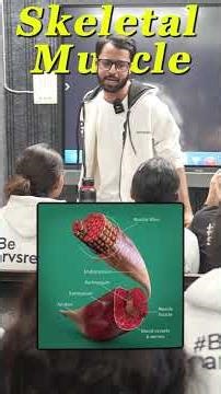 Disorders of Muscular & Skeletal System | Locomotion & Movement | Class 11 Biology NCERT | NEET