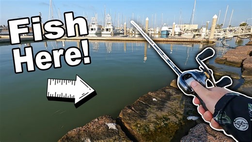 The BEST Fishing Spot in Port Aransas, Texas! (Jetty Fishing)