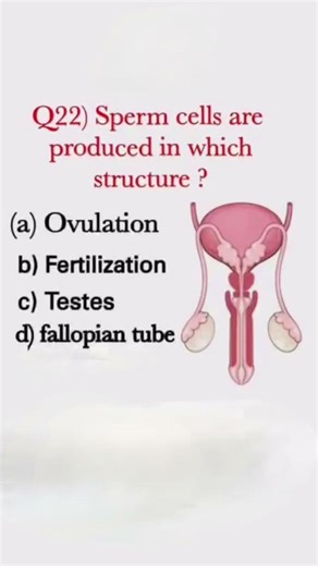which part of human product Sperm cells #testes#reproductivesystem#viral#shorts#ytshorts#feedshorts
