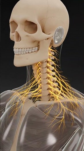 2 Moves for Neck Stiffness