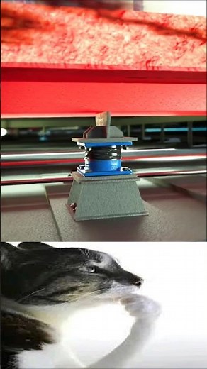 PROBLEM SOLVING STRATEGY😎 | #problemsolving #strategy #shorts