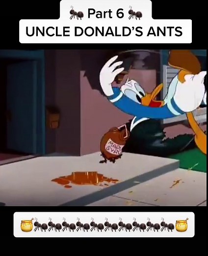 أبومحمد على TikTok