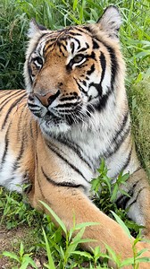 18K views · 1.7K reactions |  Remembering Pandora  It only took a...