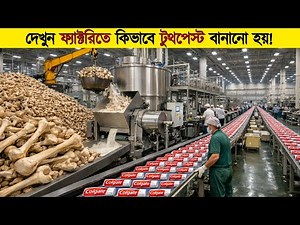 দেখুন ফ্যাক্টরিতে কিভাবে টুথপেস্ট বানানো হয়! The SHOCKING Truth About Toothpaste Production