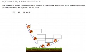 Drag the labels to the image. Each label can be used more than ... | Filo