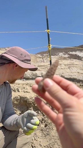 58K views · 572 reactions | Found a beautiful fossilized pinecone at the Royal Peacock Opal Mines! It’s not a successful trip unless we find at least one! ☝️ Had a blast digging with all the folk who made it out these past two weeks! Stay tuned for an opal we found that will knock your socks off! It’ll be available on our instagram live in just a few hours! 拾 | That Camping Couple | Facebook