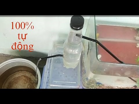 cách làm máy bơm nước tự động bằng chai nhựa||HOẢ TỐC VLOG #maybomnuoc #chainhua#xuhuong#travel