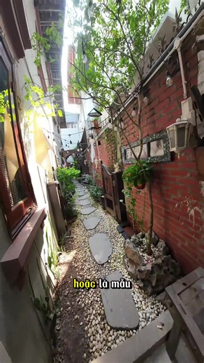 Quán cafe mèo tại tây hồ âu cơ hà nội #cafemeo #hanoitravel #cafehanoi #catlove #cafecat