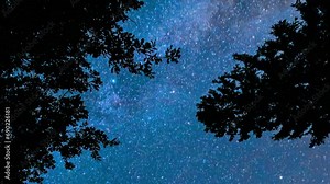 Real Colorful Night Stars. Timelapse Amazing Stars In Sky. Bottom View From Ground. Night Starry Sky With Glowing Stars And Meteoric Tracks Trails Above Trees. Bright Blue. Time Lapse, Time-lapse.
