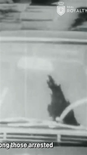 Facing a coup, the king had options. Some think he should have sacrificed himself by rejecting the military takeover, even without risking his life or family. Instead, he acted differently in an extraordinarily difficult situation. Have you ever faced a no-win choice? #king #coup #sacrifice #dilemma #history #leadership | Real Royalty