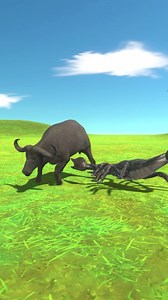 5.5K views · 37 reactions | Emperor Scorpion vs Buffalo | Gameroom | Facebook