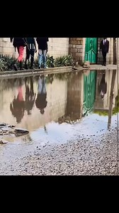 Good morning | Chims