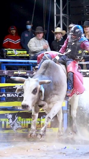 7.4K views · 185 reactions |  .....#rodeo #rodeolife #rodeotime #rodeophotography #rodeocrowns #rodeophotography #rodeophotographer #rodeostyle #rodeowest #rodeowrecks #bullriding #bullrider #bullriding #bullriders #bullridingwrecks #torosrodeos #torosrodeomosfox #elrodeo #onlyrodeo #onlyrodeodrive #rodeotime #bullriding #jineteodetoro #jineteadas_campereadas #jinete #rodeoo | Mario Rodeo | Facebook
