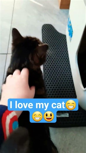 #cute #love #xyzcba #fypシ゚viral #cats #cat