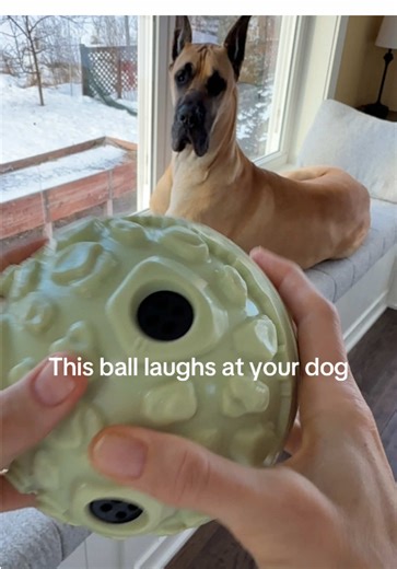 KADTC Giggle Ball: The Ultimate Toy for Medium and Large Dogs