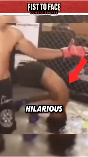 Let's be honest, some knockouts are hilarious 😂 #funny #mma #knockout