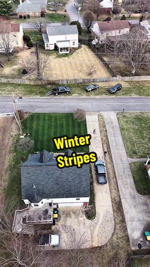 Lawn Stripes in January: Rye Grass Maintenance