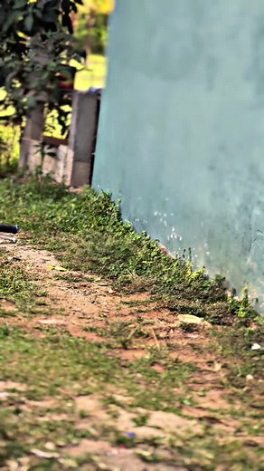 🫦🐬#lcv1jahat #cryptonx #v1buruk #lcv1 #lc135malaysia #lc135 #crypton #lcv1malaysia #cryptonews #cryptonx135 #fypシ #fyp #🐬