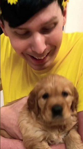 30 seconds of dog content to relax your brain #shorts #dogs
