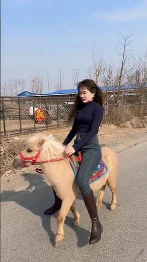 Morning Rounds: Farmer’s Traditional Pony Ride Through the Family Farm 🐴🌄 💥