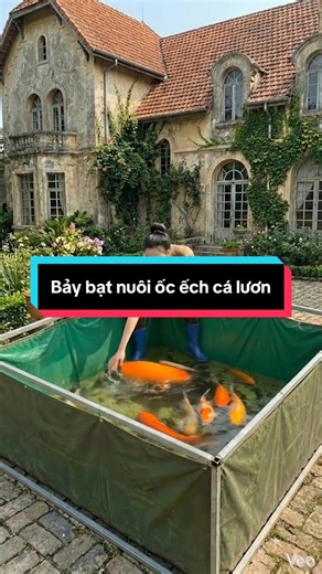 Dành cho anh em đam mê chăn nuôi ốc ếch cá lươn hoặc làm bể bơi cho trẻ em tắm#bebatnuoica #bebat #bebatrrongnghia #tiktokmakemebuyit