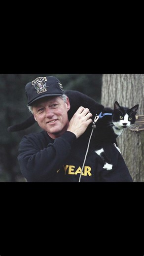 “Socks, le chat qui a conquis la Maison Blanche ! 🐱🏛️@Miaou59 #ChatsCélèbres #Socks #MaisonBlanche