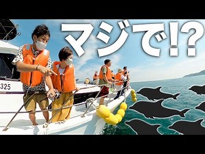 A dream-like day in Amakusa where I saw a lifetime's worth of dolphins on the boat【Vanlife in Japan】