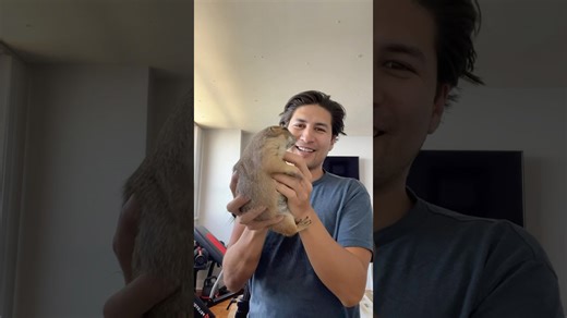 Prairie dog expresses excitement with a joyful yell