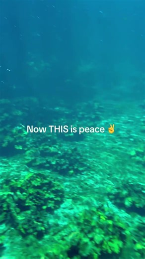 Cenotes in Mexico | Cruise Ship Excursions | Clear Water | Tulum, Mexico