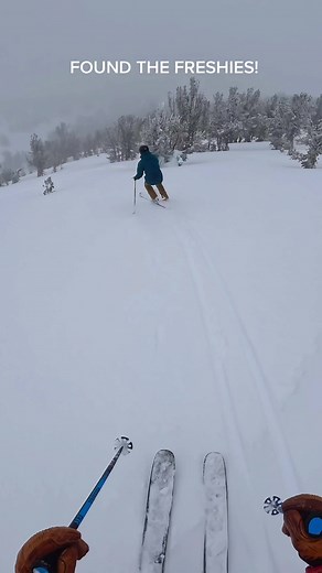 Powder Skiing Adventure at Heavenly Milky Way Bowl
