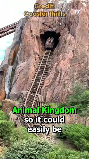 Does Magic Kingdom OR Animal Kingdom NEED More Rides?