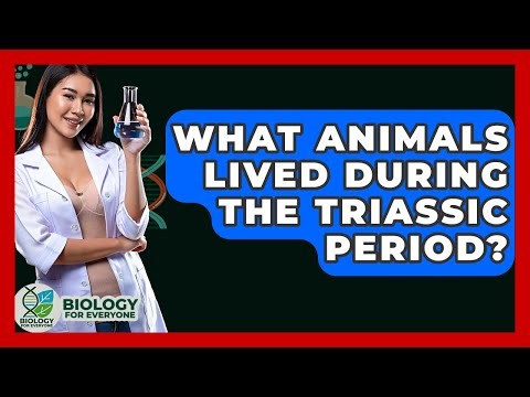 What Animals Lived During The Triassic Period? - Biology For Everyone