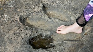 200-million-year old dinosaur footprints found by little girl