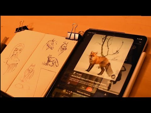 Let's Practice Drawing Fundamentals Using Reference! 🐈