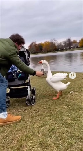 #fyp #homepage #iykyk #AI #algorithm | sweetpicklebuss