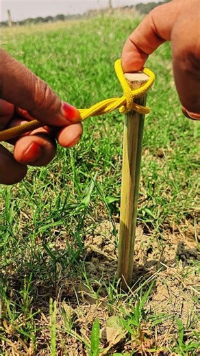 Strong Anchor Knot for Survival & Camping 💯💡 #shorts #experiment #learning #handmade #usa