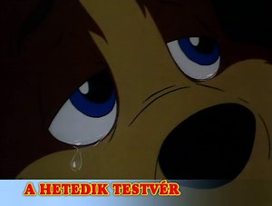 A hetedik testvér (előzetes)